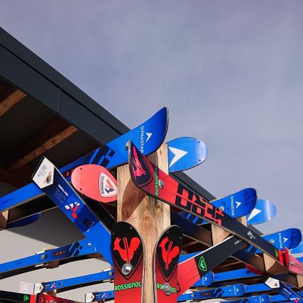 Pergola skis mélèze dimensions personnalisées